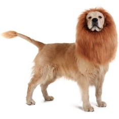 Costum catel, amuzant leu, Haloween, talie M, USSPY