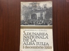Adunarea nationala de la Alba Iulia 1 decembrie 1918 Gheorghiu Nutu carte istorie editura politiaca 1968 RSR