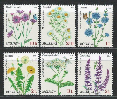 Moldova 2016 Mi 951/56 MNH - Flori de c&amp;acirc;mp foto