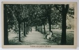 VEDERE DIN PARCUL SALISTEI , SIBIU , CARTE POSTALA ILUSTRATA , 1931