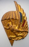 5.064C ROMANIA MEDALIE PARASUTISM PARASUTIST PARASUTISTI