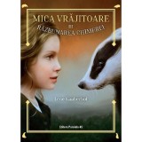 Mica vrajitoare. vol.3: razbunarea chimerei - lene kaaberbol, Paralela 45