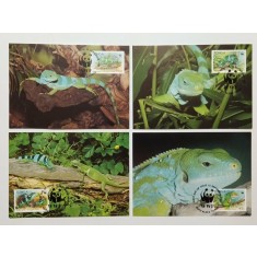 Tonga 1990 - iguana, serie CarteMaxima