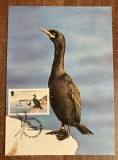 C12 - maxima straina - Isle of Man - Cormoran - 1983