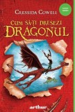 Cum sa-ti dresezi dragonul. Seria Cum sa-ti dresezi dragonul Vol.1, Grupul Art