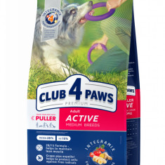Club 4 Paws Hrana uscata caini activi de talie medie, 5kg
