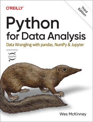 Python for Data Analysis: Data Wrangling with Pandas, Numpy, and Jupyter foto