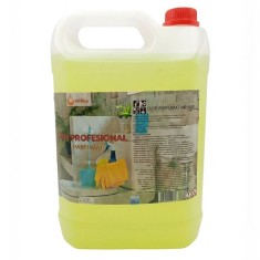 Clor Profesional Parfumat 5L Mr Mop