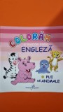 Coloram si invatam limba engleza. Pui de animale