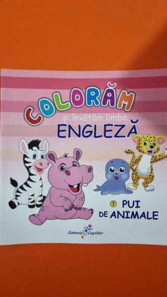 Coloram si invatam limba engleza. Pui de animale