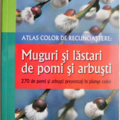 Atlas color de recunoastere: Muguri si lastari de pomi si arbusti. 270 de pomi si arbusti prezentati in planse color – Bernd Schulz