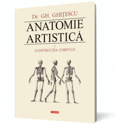 Anatomie artistica (vol. I): Constructia corpului foto