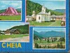 CPI B 12190 CHEIA, MOZAIC, Necirculata, Fotografie