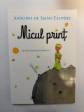 Micul print - Antoine De Saint Exupery