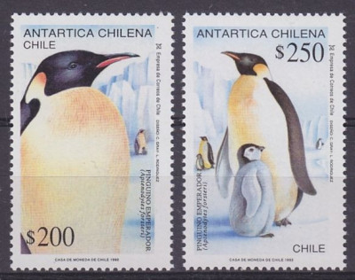 CHILE 1993 FAUNA PASARI PINGUINI foto