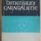 Silvian Iosifescu - Dimensiuni caragialiene, 1972
