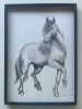 Tablou - Cal &quot; Voinicul&quot;, Animale, Carbune, Realism