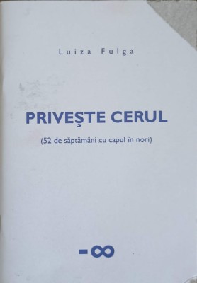 PRIVESTE CERUL (52 DE SAPTAMANI CU CAPUL IN NORI)-LUIZA FULGA-240311 foto