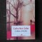 UMBRA VINTULUI - CARLOS RUIZ ZAFON