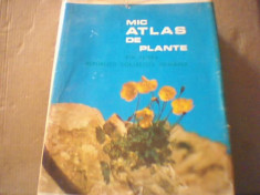 I. Todor - MIC ATLAS DE PLANTE DIN FLORA REPUBLICII SOCIALISTE ROMANIA { 1968 } foto