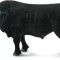 Figurina Taur Black Angus