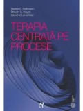 Cumpara ieftin Terapia centrata pe procese/Stefan G. Hofmann, Steven C. Hayes, David N. Lorscheid