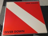 Vinil LP Van Halen &lrm;&ndash; Diver Down (EX)
