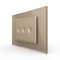 icon 1