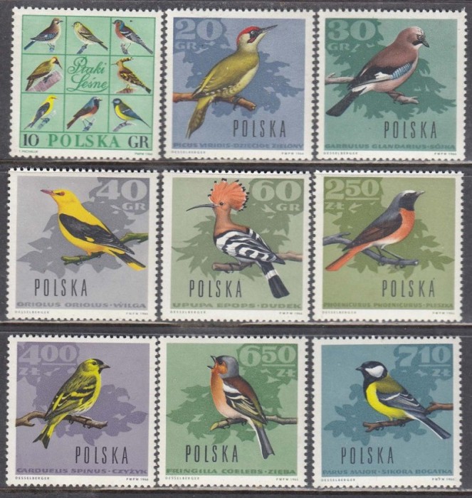 Polonia, pasari, fauna, 1966, MNH