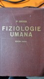 P. Groza - Fiziologie umana