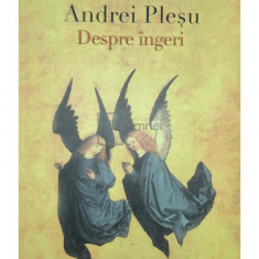 Andrei Pleșu - Despre îngeri (editia 2007)