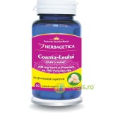 Coama Leului (Lion&#039;s Mane) 60cps