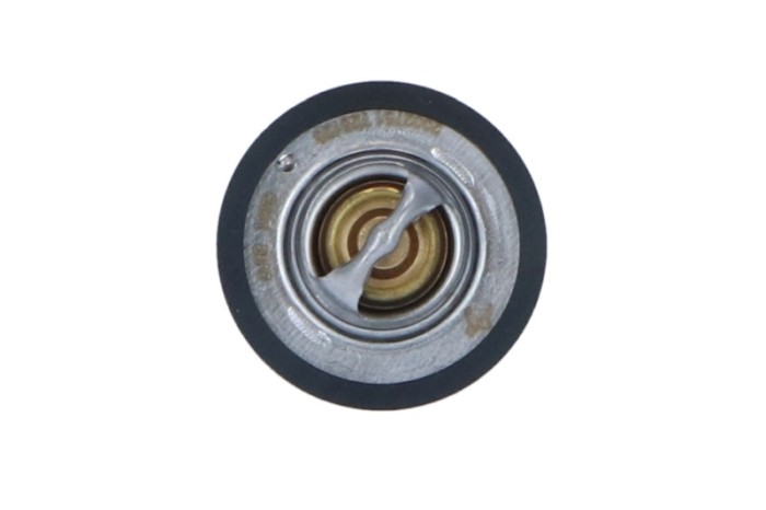 NRF 725126 EASY FIT termostat,lichid racire