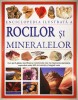 Enciclopedia Ilustrata Rocilor si Mineralelor, Aquila, 2008, Geologie, Format Mare, Ilustrata