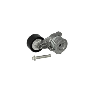Intinzator curea BMW 5 Touring F11 DAYCO APV3020 foto