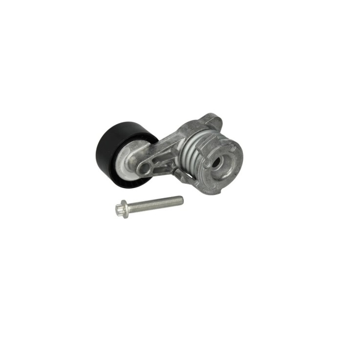 Intinzator curea BMW 5 Touring F11 DAYCO APV3020