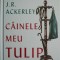 Cainele meu Tulip &ndash; J.R. Ackerley