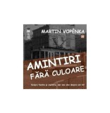 Amintiri fara culoare Martin Vopenka Carte Biografii Memorii Anii Saizeci Tip Coperta Brosata