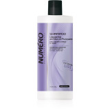 Brelil Professional Smoothing Shampoo sampon pentru indreptarea parului pentru par indisciplinat 1000 ml