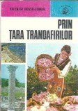 Prin tara trandafirilor - Valentin Hossu Longin | Editura Albatros, 1979 | Carte Literatura Romana Clasic Collection Atlas