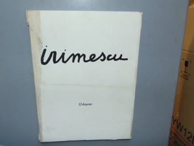 ION IRIMESCU 12 DESENE foto