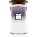 Woodwick Trilogy Amethyst Sky lum&acirc;nare parfumată cu fitil din lemn 609.5 g