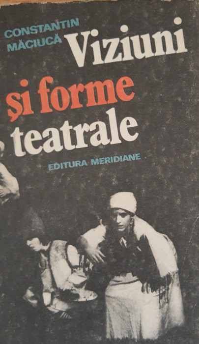 Viziuni si forme teatrale - Constantin Maciuca