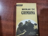 Grindina de Nicolae Tic