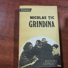 Grindina de Nicolae Tic