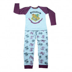 Pijama pentru baieti E Plus M Harry Potter PBD-02, Multicolor foto