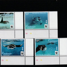 Rarotonga 2016-Fauna,WWF,Testoase,serie 4 valori,colt de coala,MNH,Mi,50-53