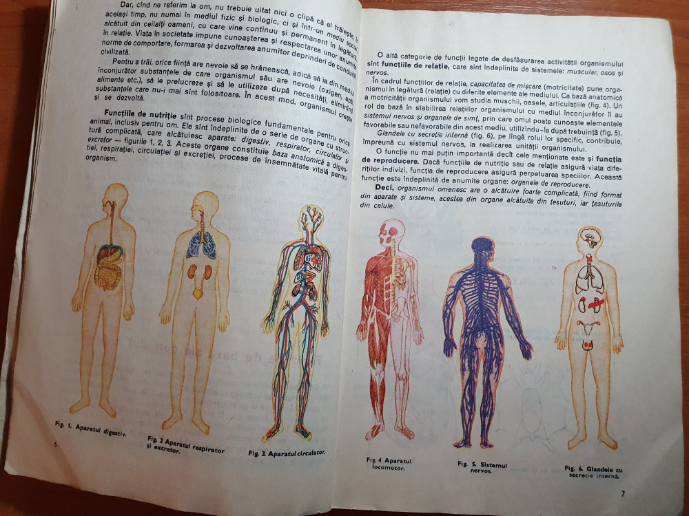 Manual anatomia fiziologia si igiena omului pentru clasa a 7-a - din anul  1980 | Okazii.ro