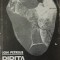 ION PETREUS - PIRITA SEDIMENTARA