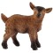 Figurina Schleich, Pui de Capra (ied), 4.5 x 4.5cm